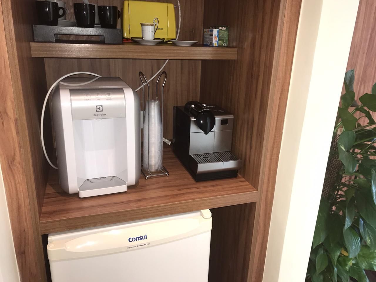 Luiz Clemente Sp Rolim-10