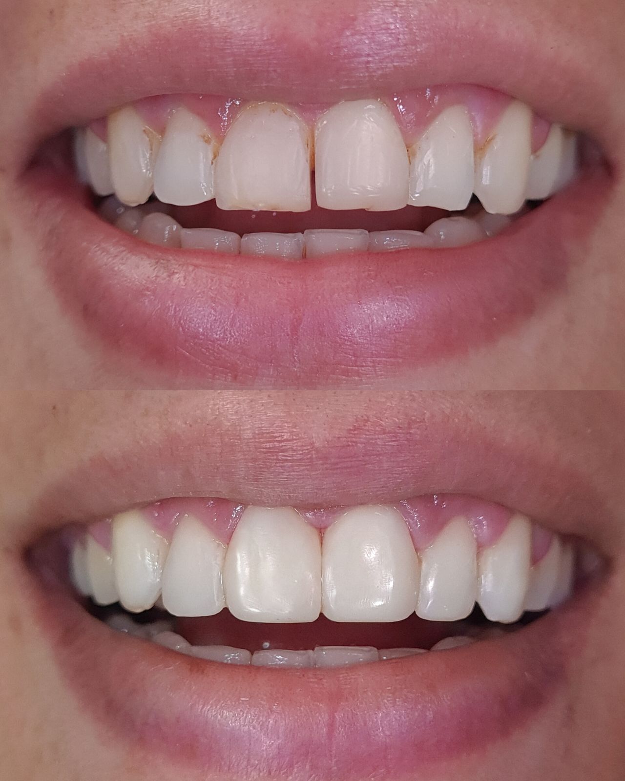 Silvia Bustamante -4