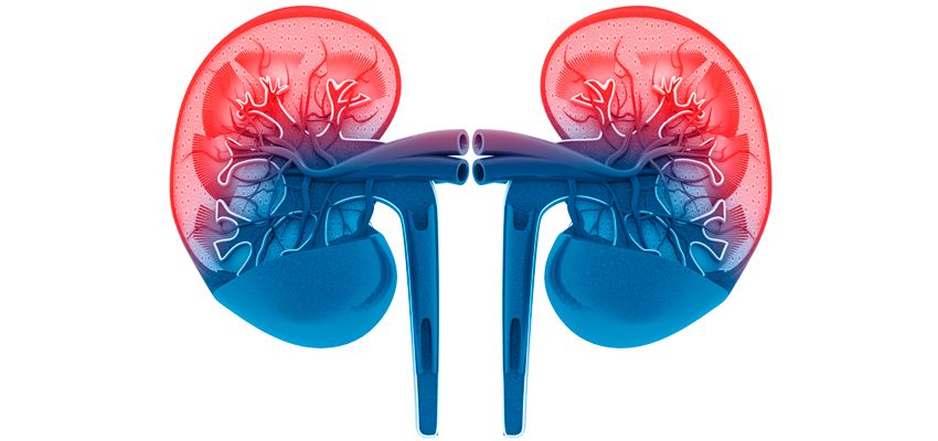 Diogo Passos De Souza Santana-0