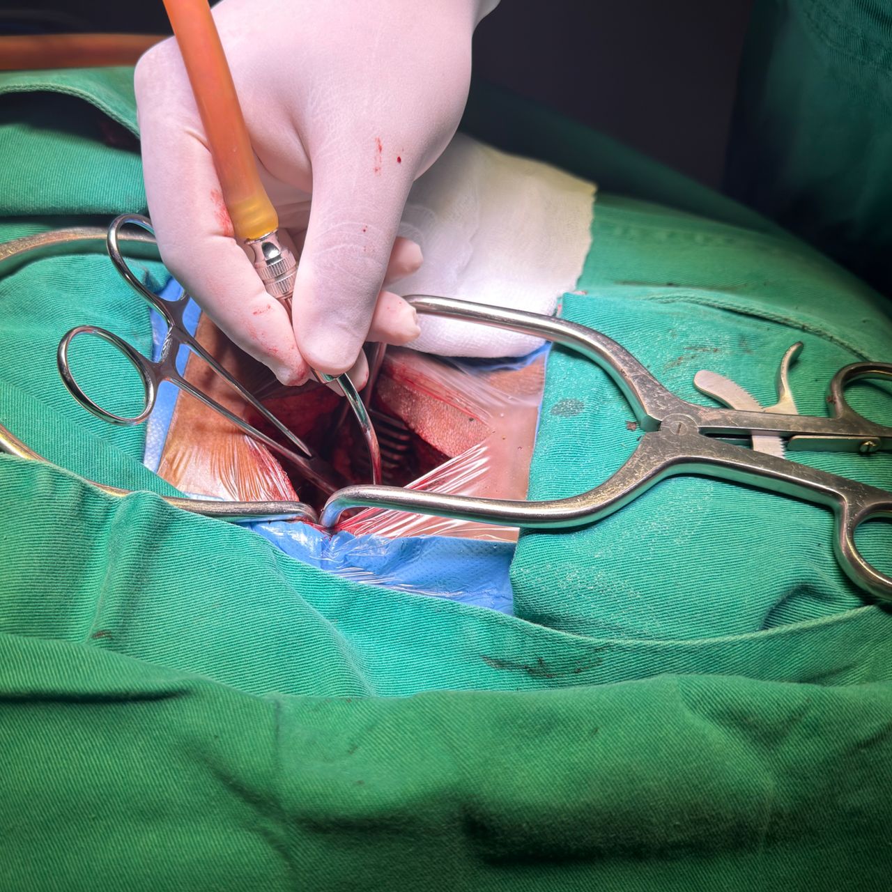 David Tafur Muñoz-2419