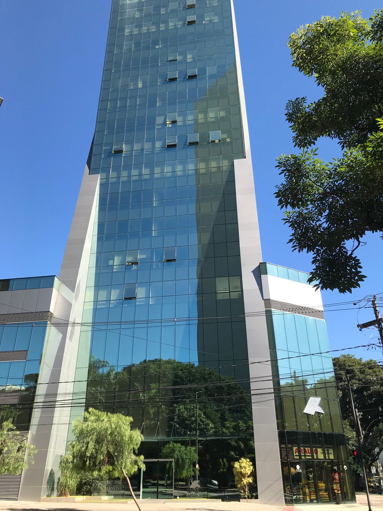 Bernardo Decina Arantes-1