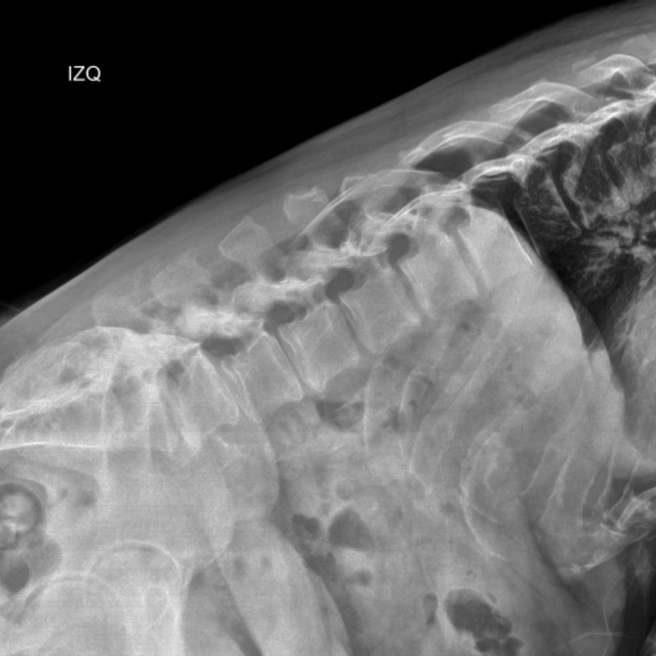 David Tafur Muñoz-2469