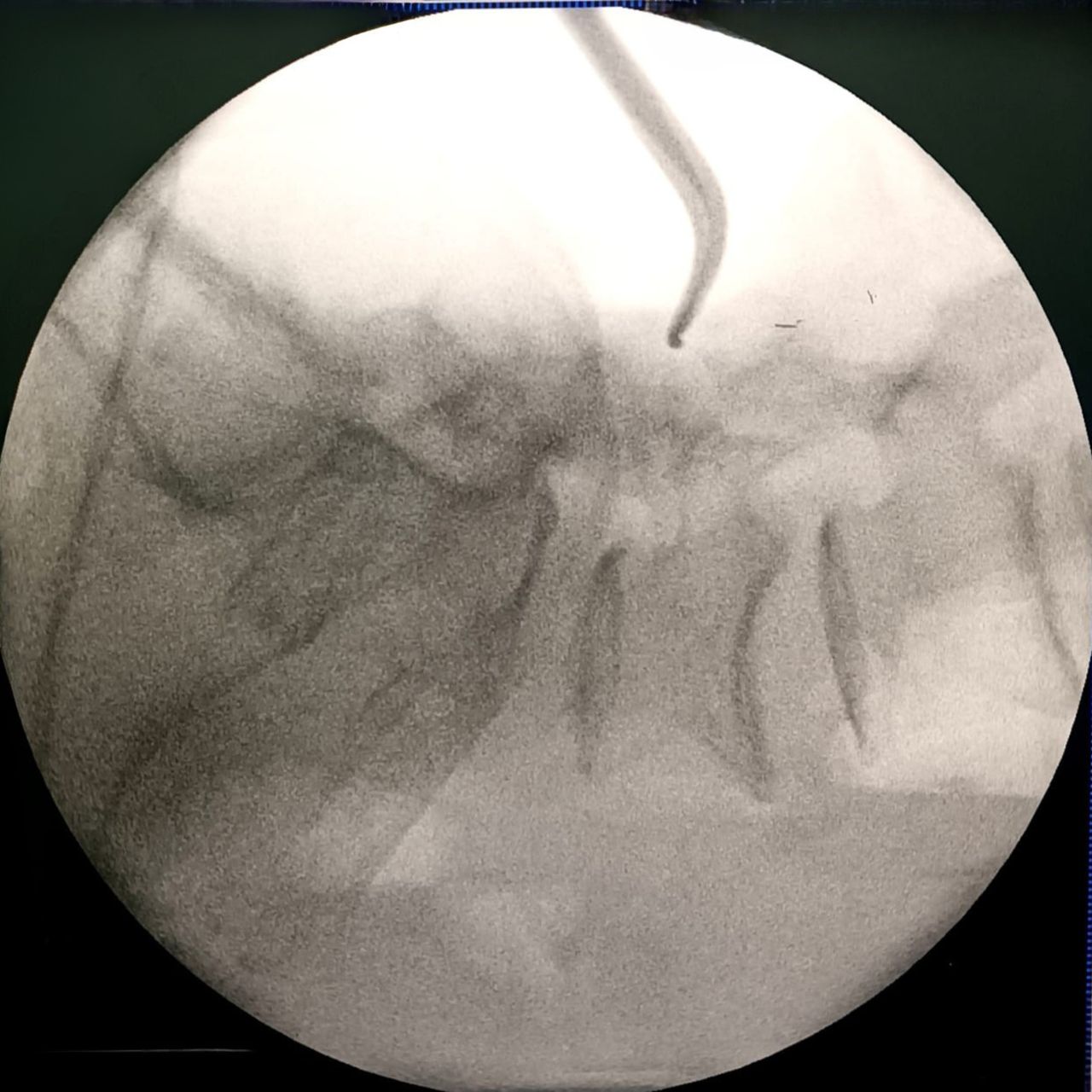 David Tafur Muñoz-1290