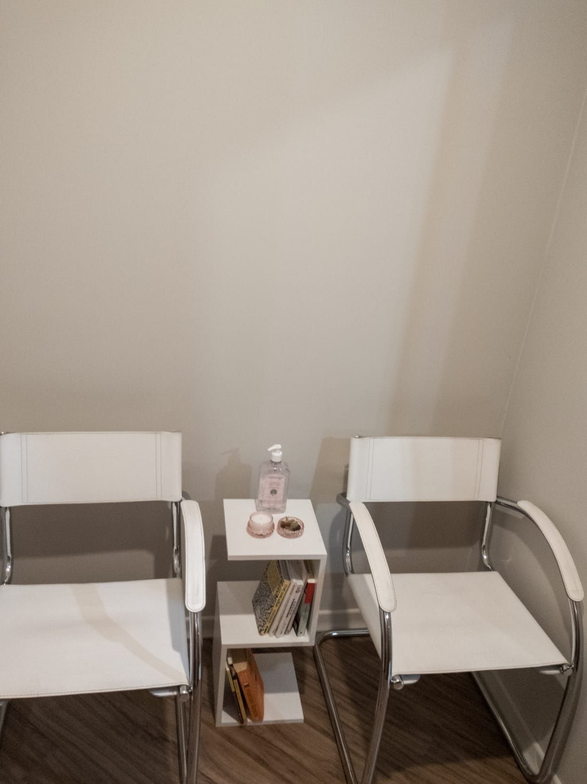 Gabriela Assis Brasil-5