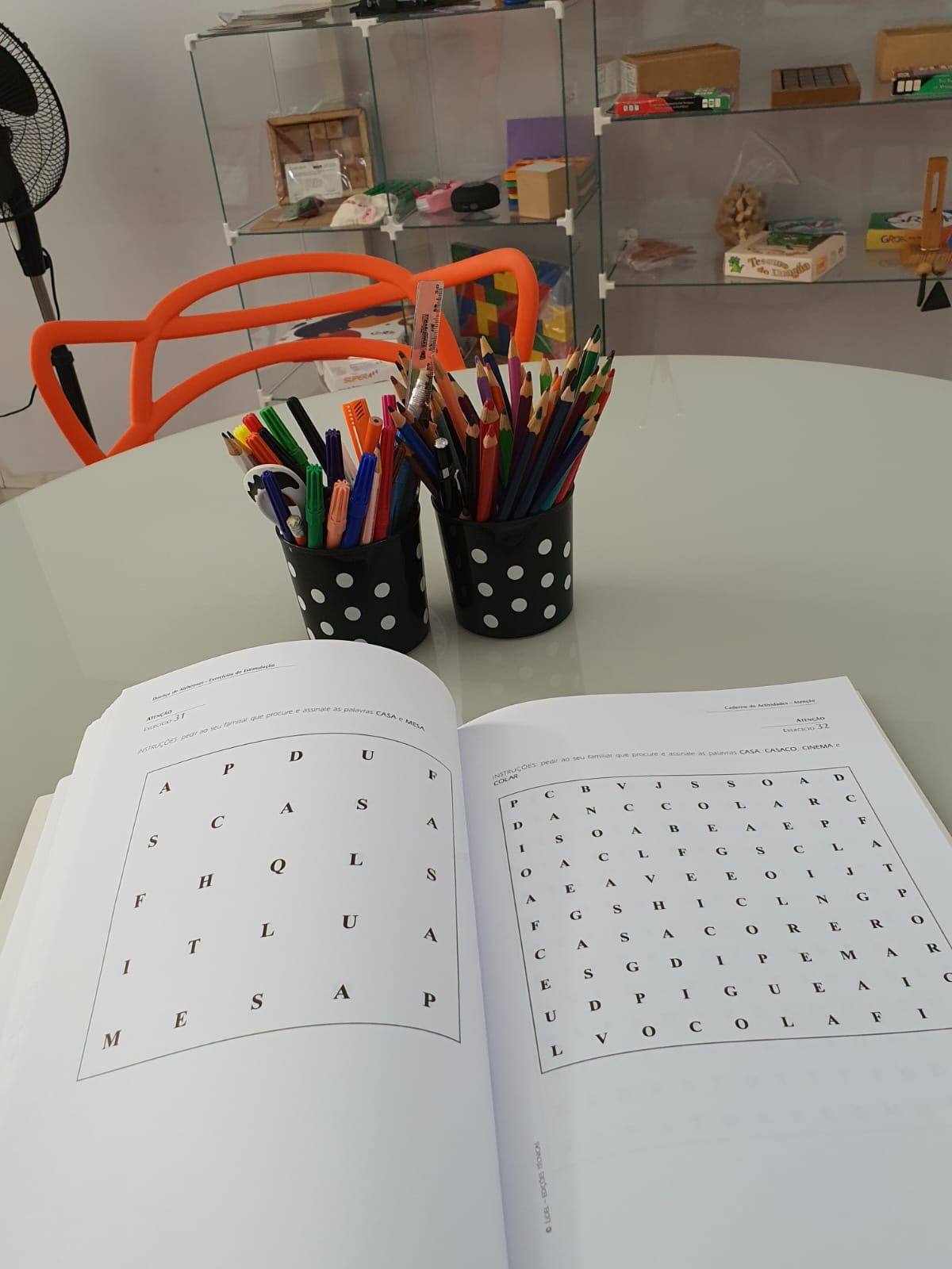 Simone Vieira De Melo-6