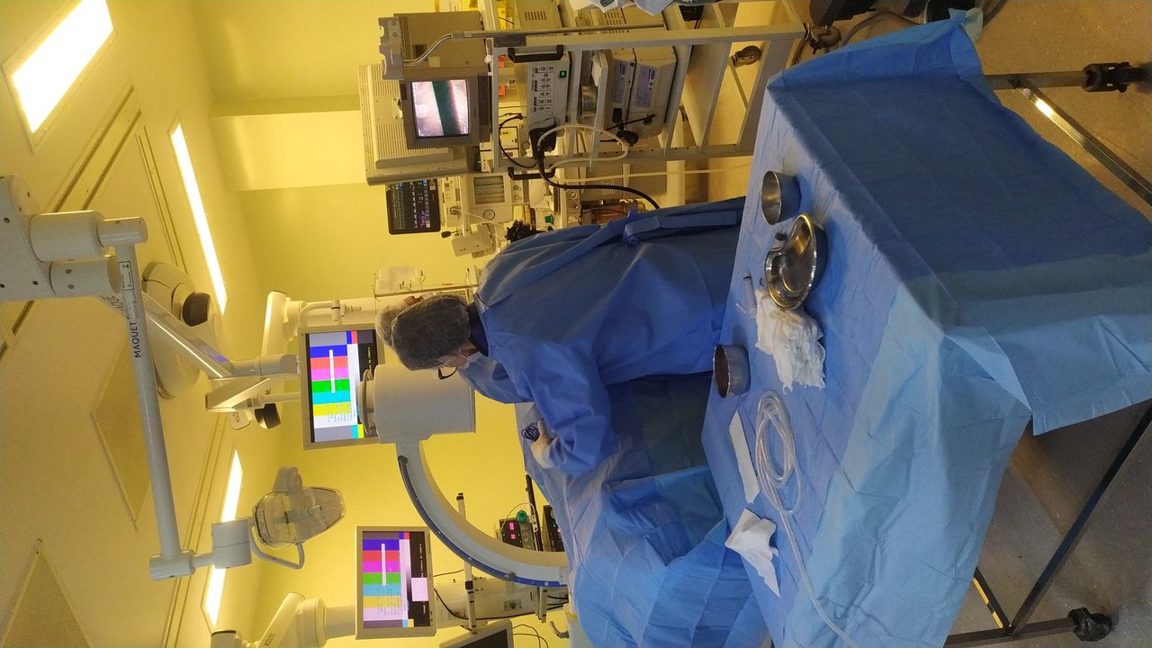 Tiago Grassano Lattari-1