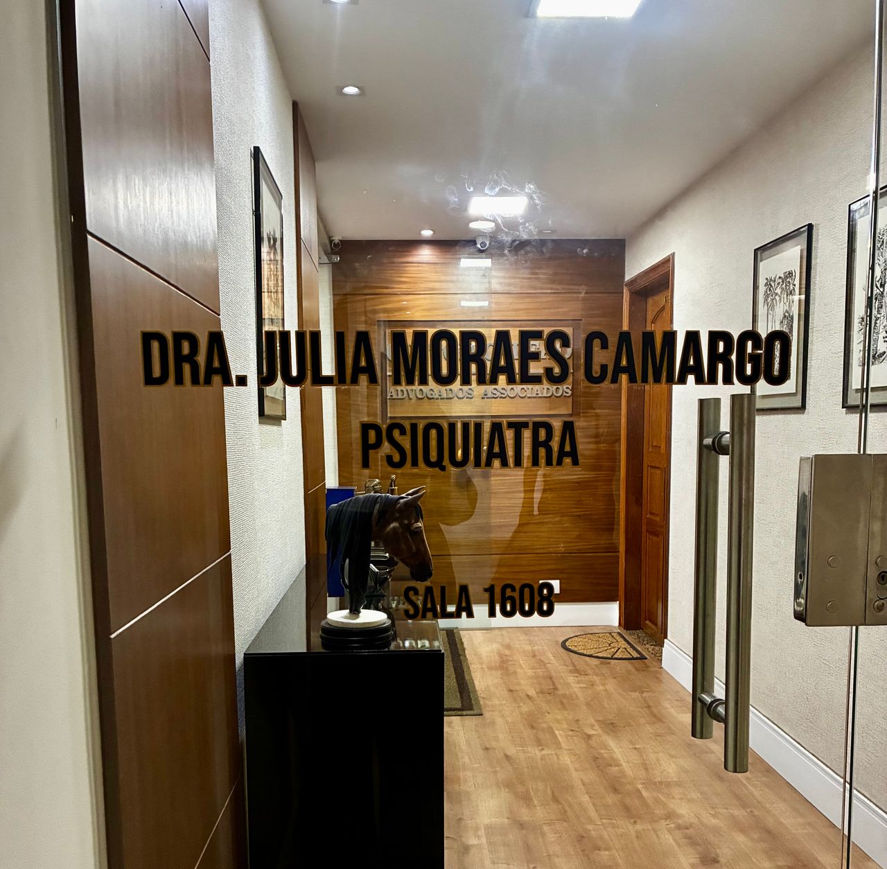 Julia  Moraes Camargo -1