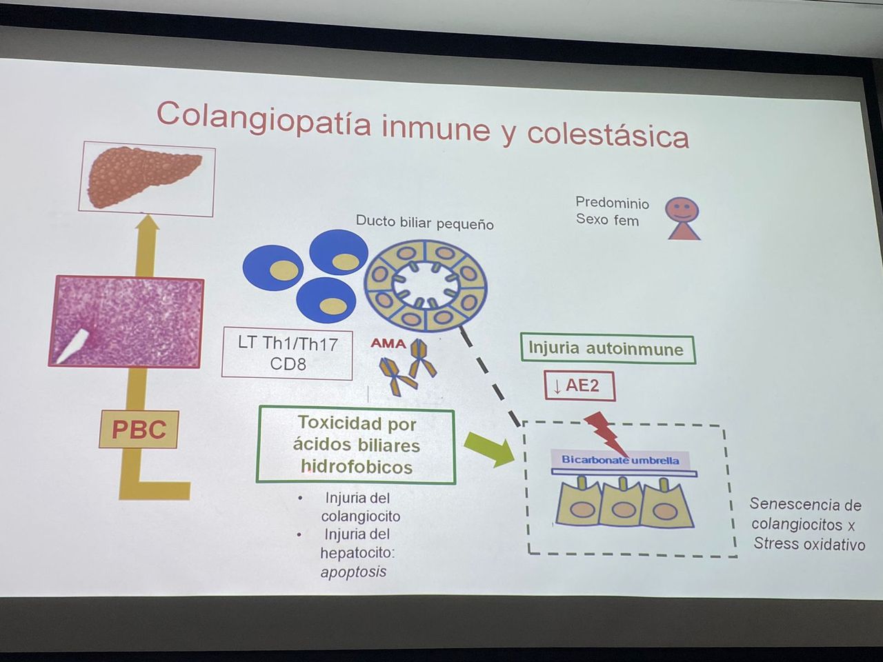 Isamar Benyi Gutiérrez Córdova-16