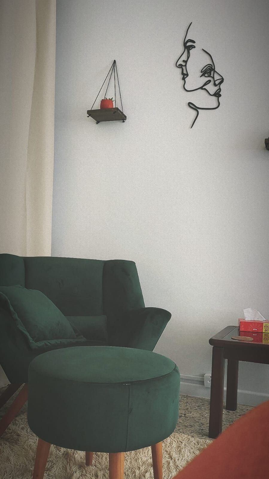 Janine Stella Macedo Maschietto Teixeira-5