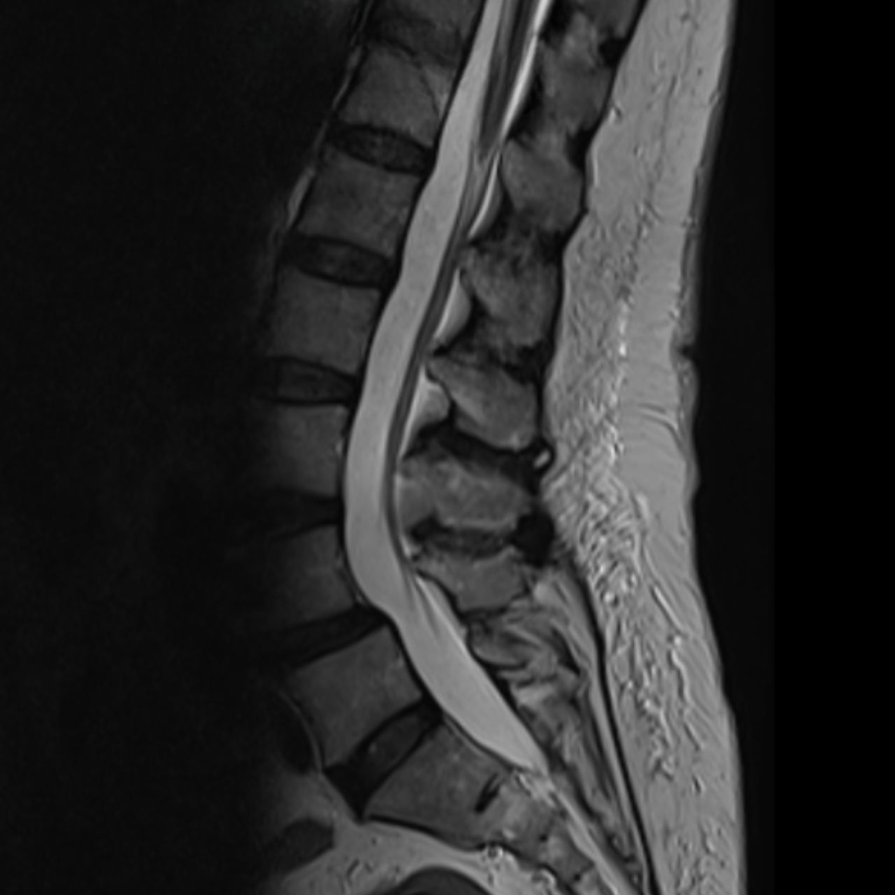 David Tafur Muñoz-1867