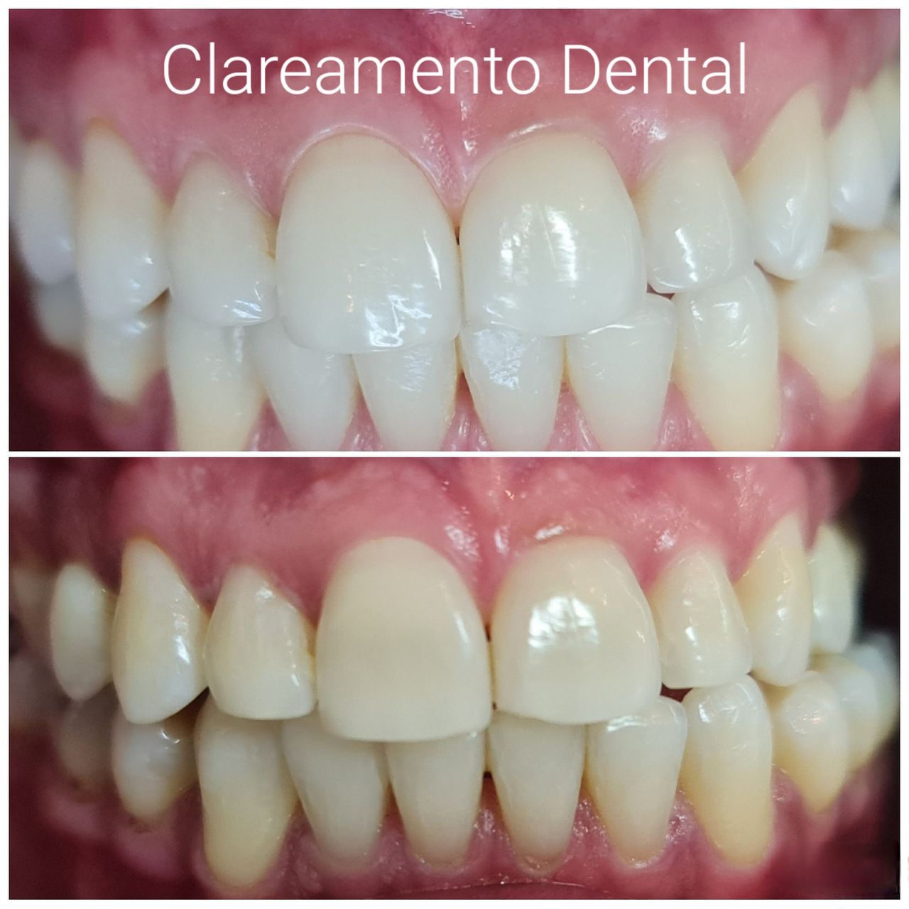 Mariana Mandim Ribeiro Marques-44