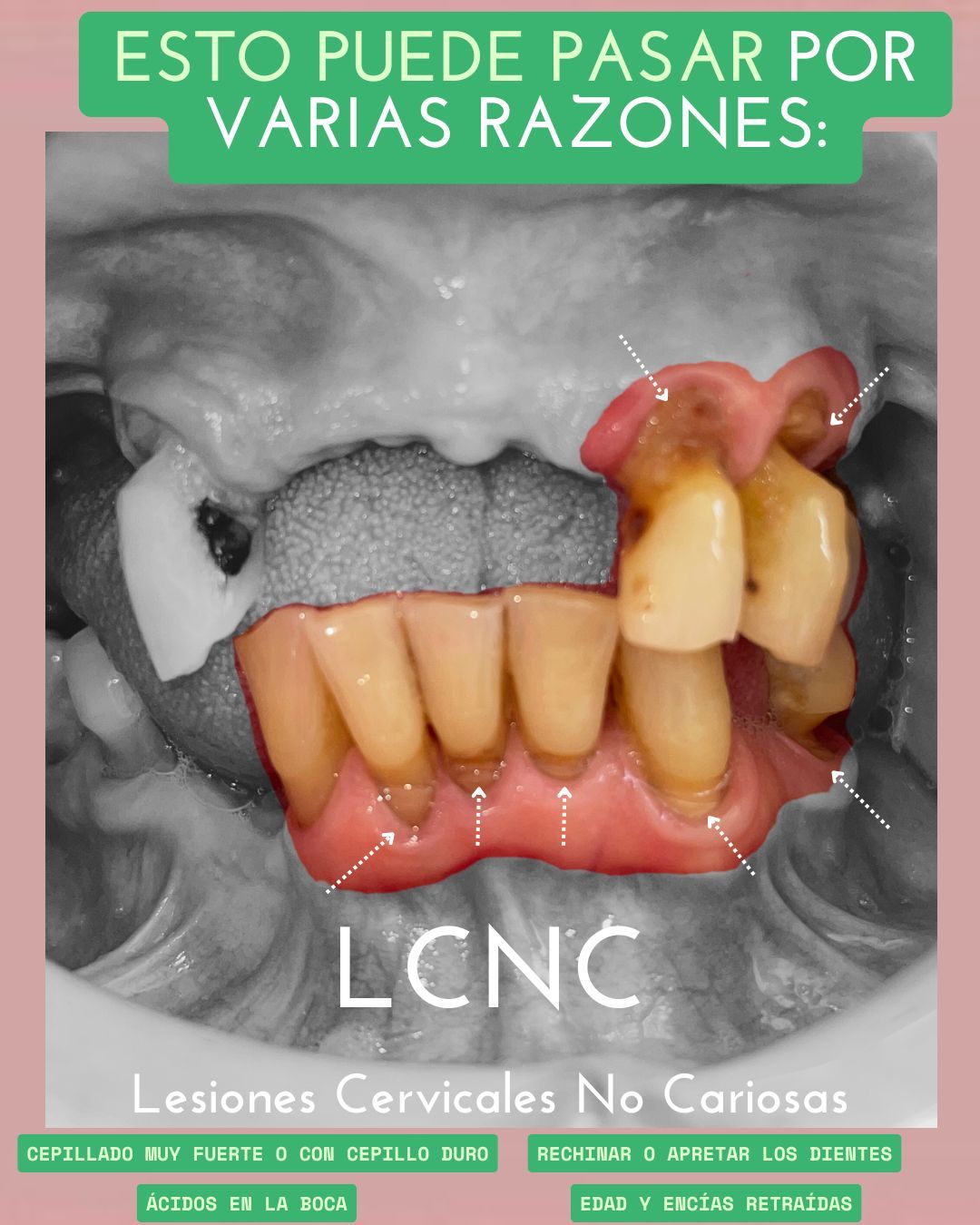 Gabriela Estrada Mura-29