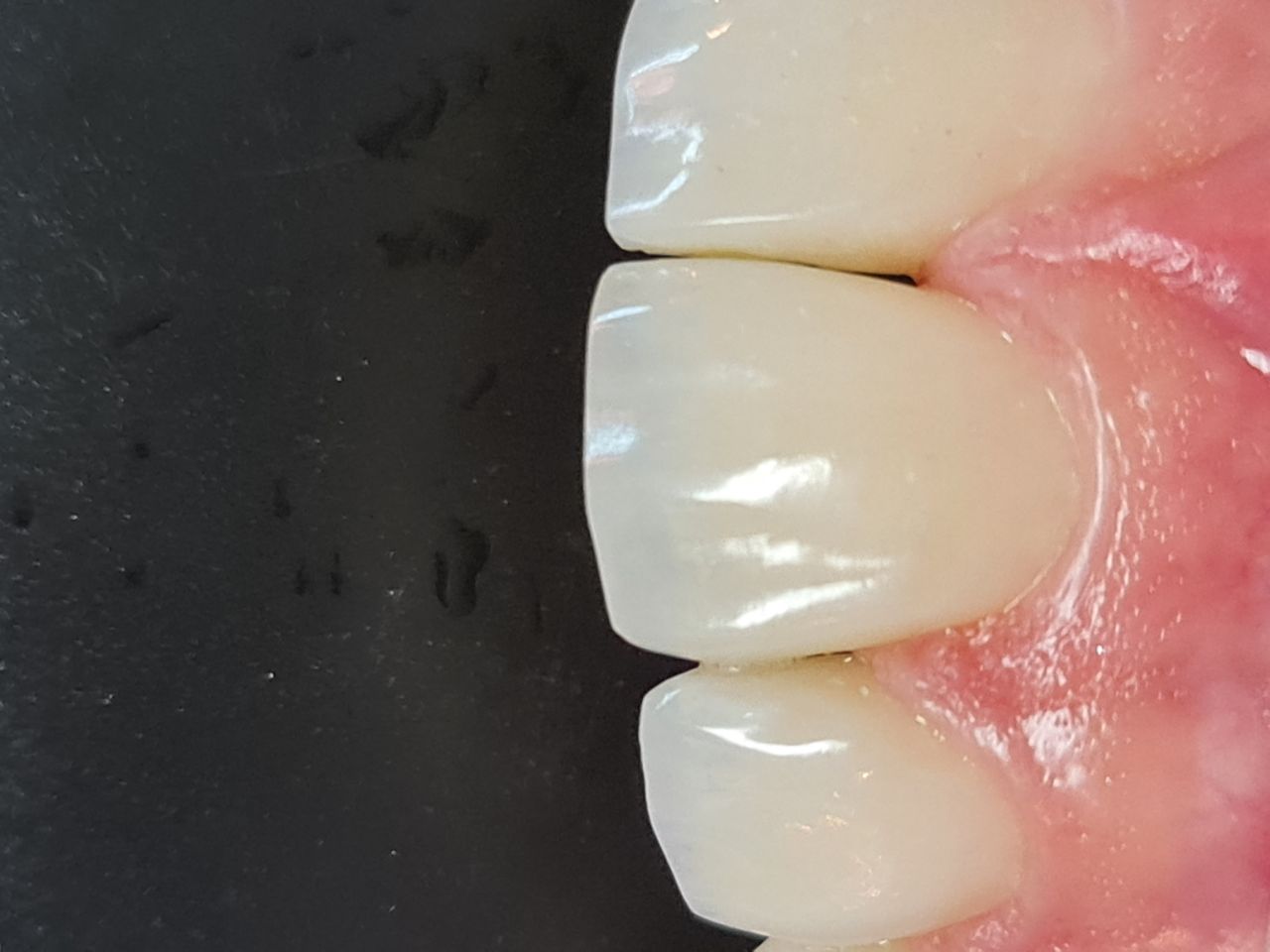 Mariana Mandim Ribeiro Marques-13