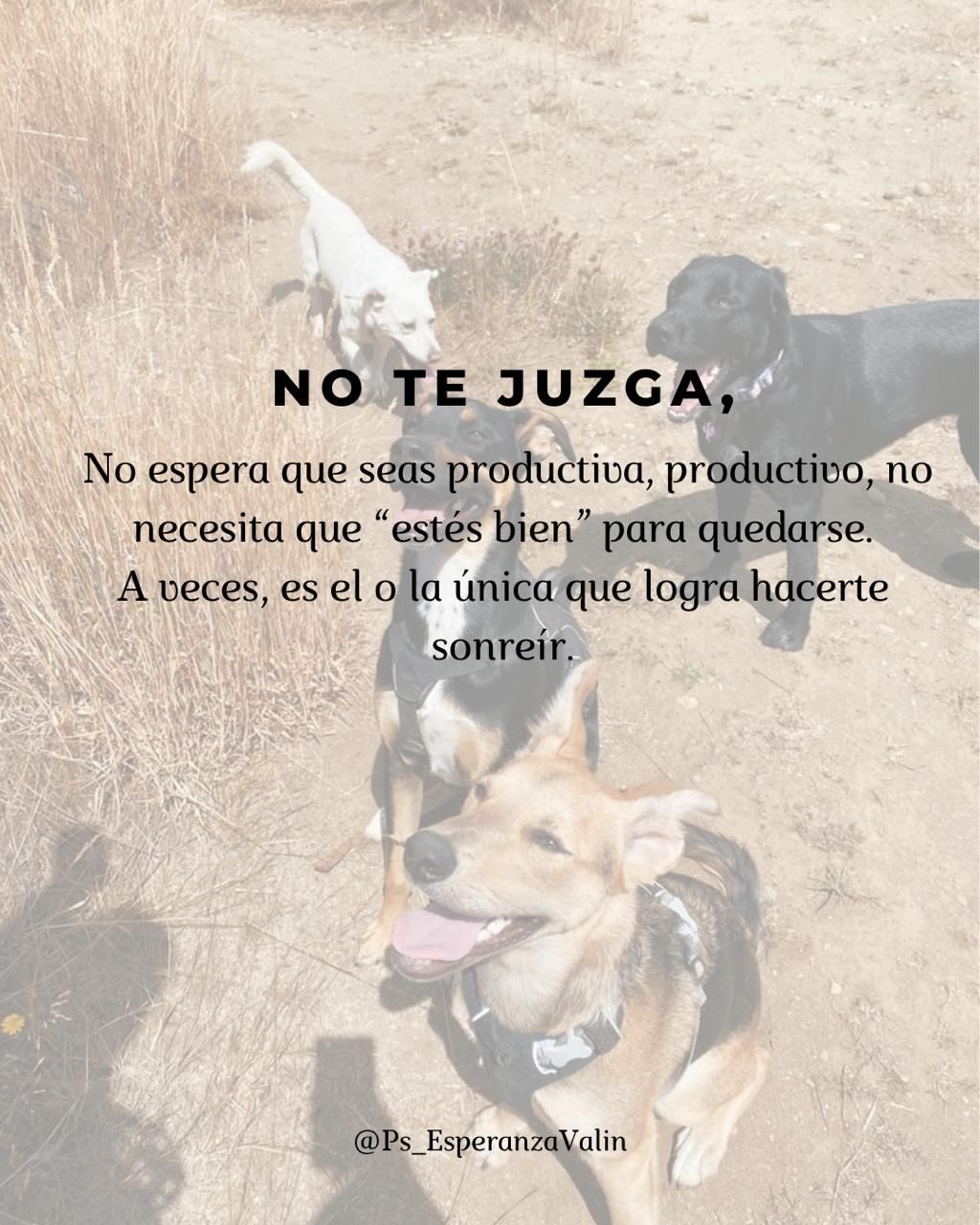 Esperanza Lagos Valin-8