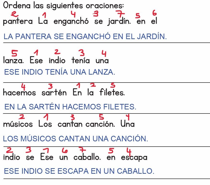 Mackarena Toro Inostroza-0
