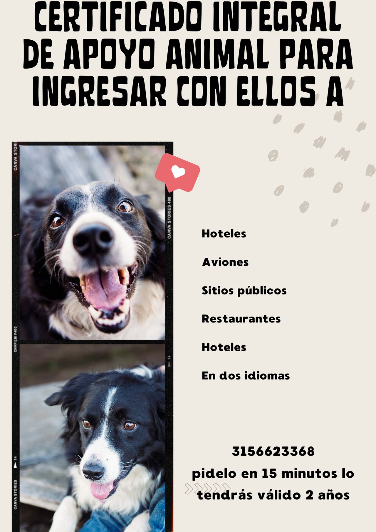 Juan Manuel Amado Martínez-23