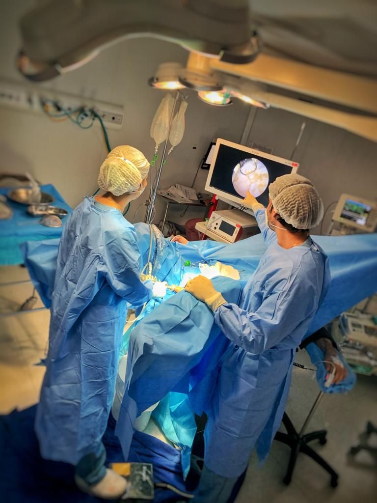 Felipe Machado De Moura Costa-11