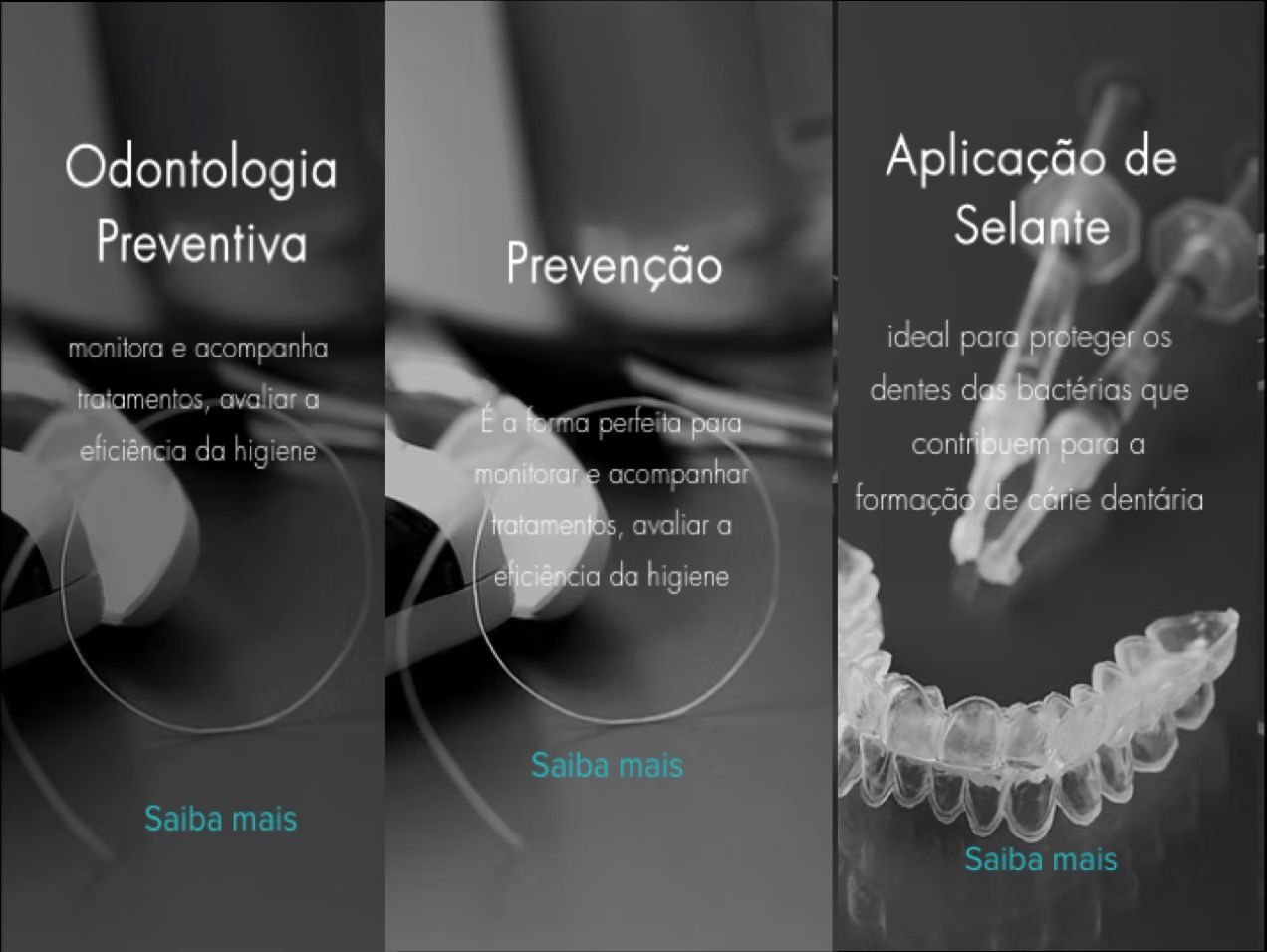 Marcelo Mariani Bolina-19