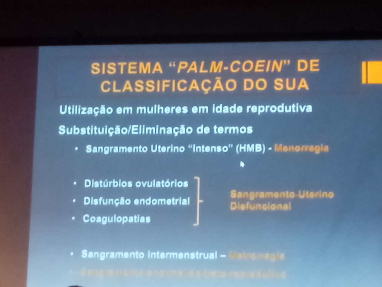 Renata Wanderley Nogueira-39