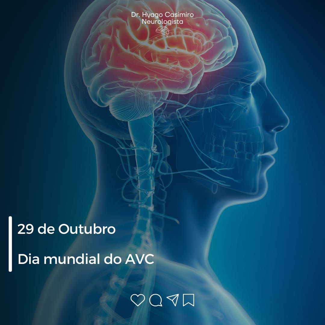 Hyago Casimiro Mendes De Oliveira-11