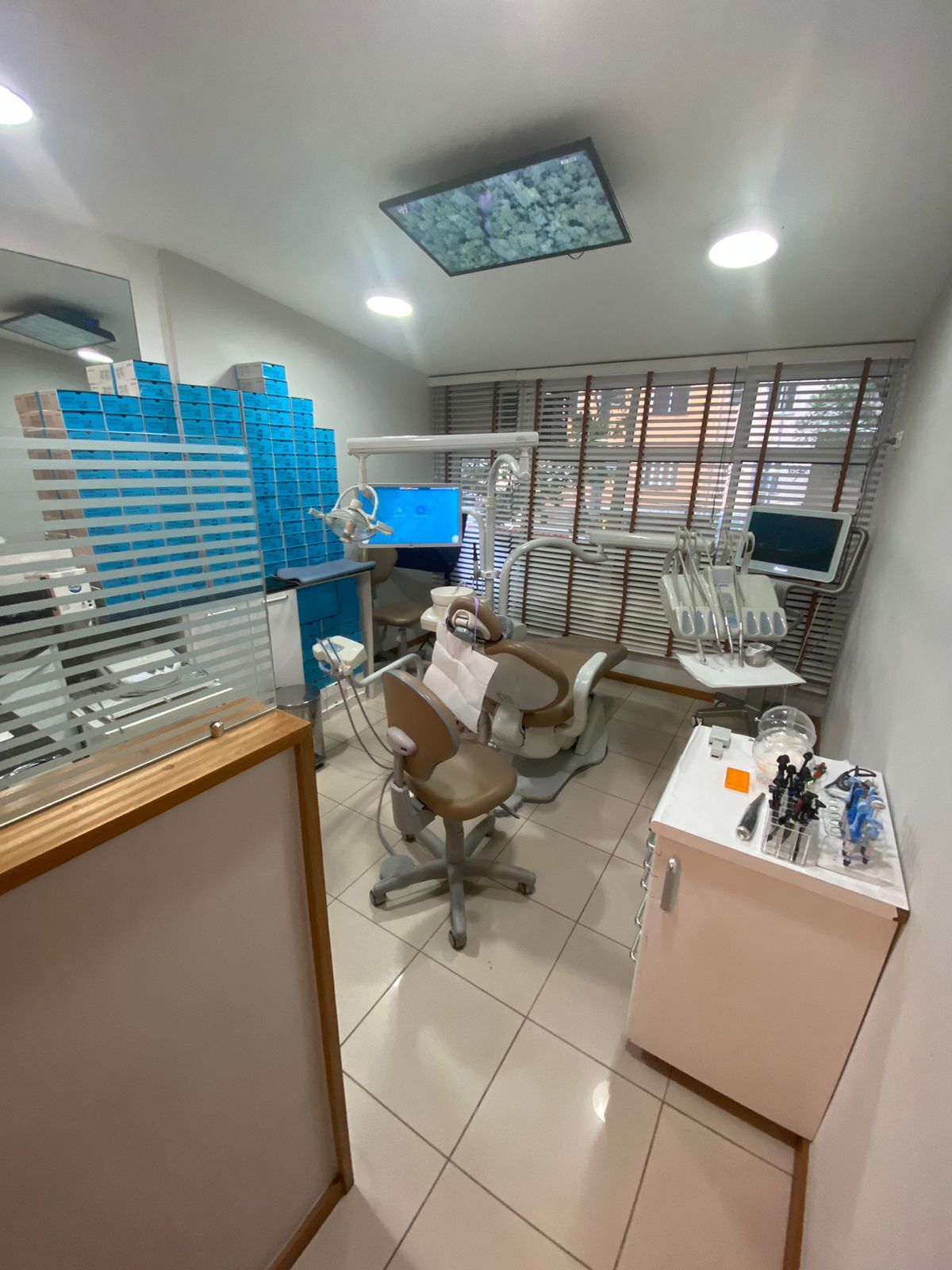 Fernanda Loureiro Szterenzejer-3