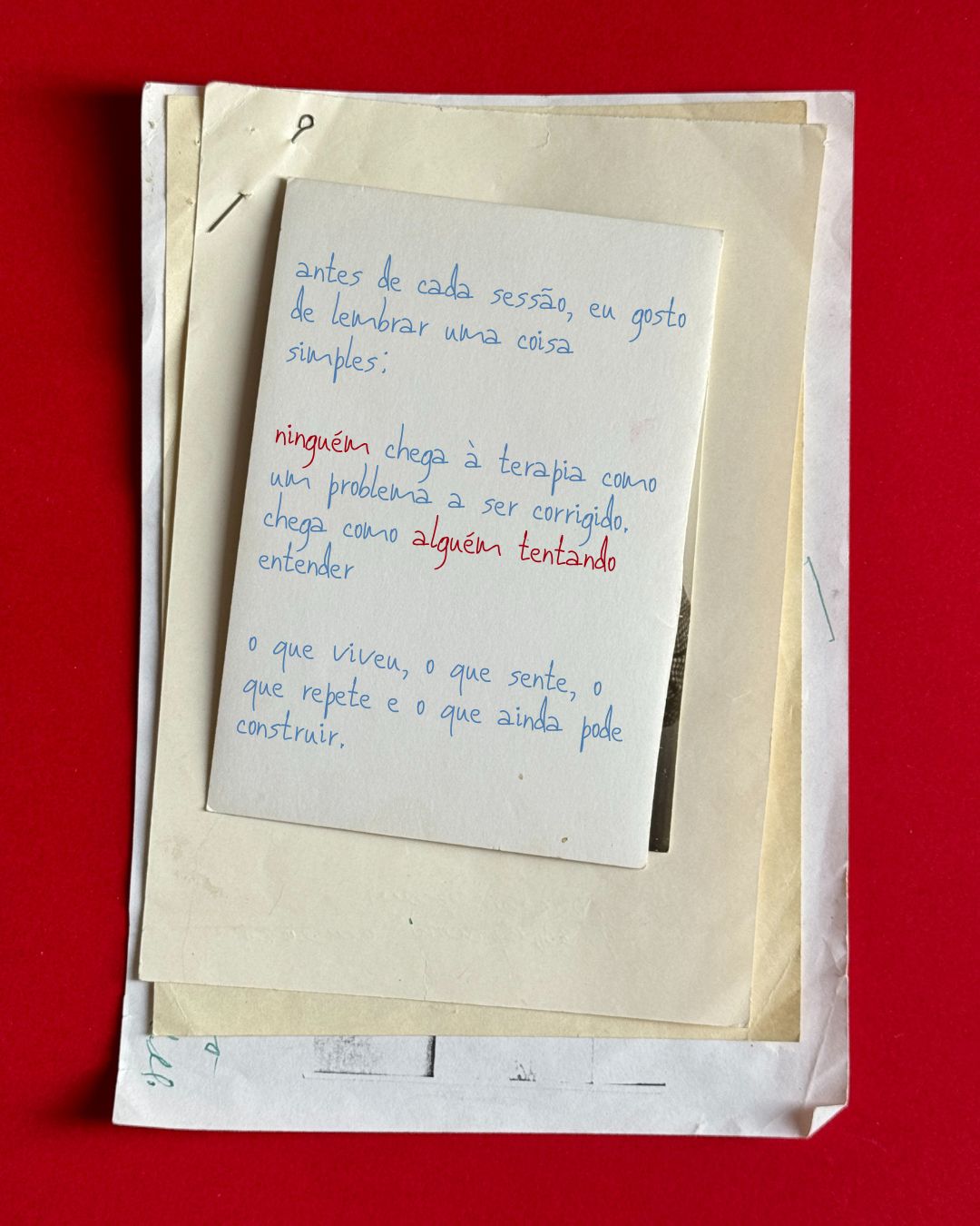 Maria Helena Fernandes-6