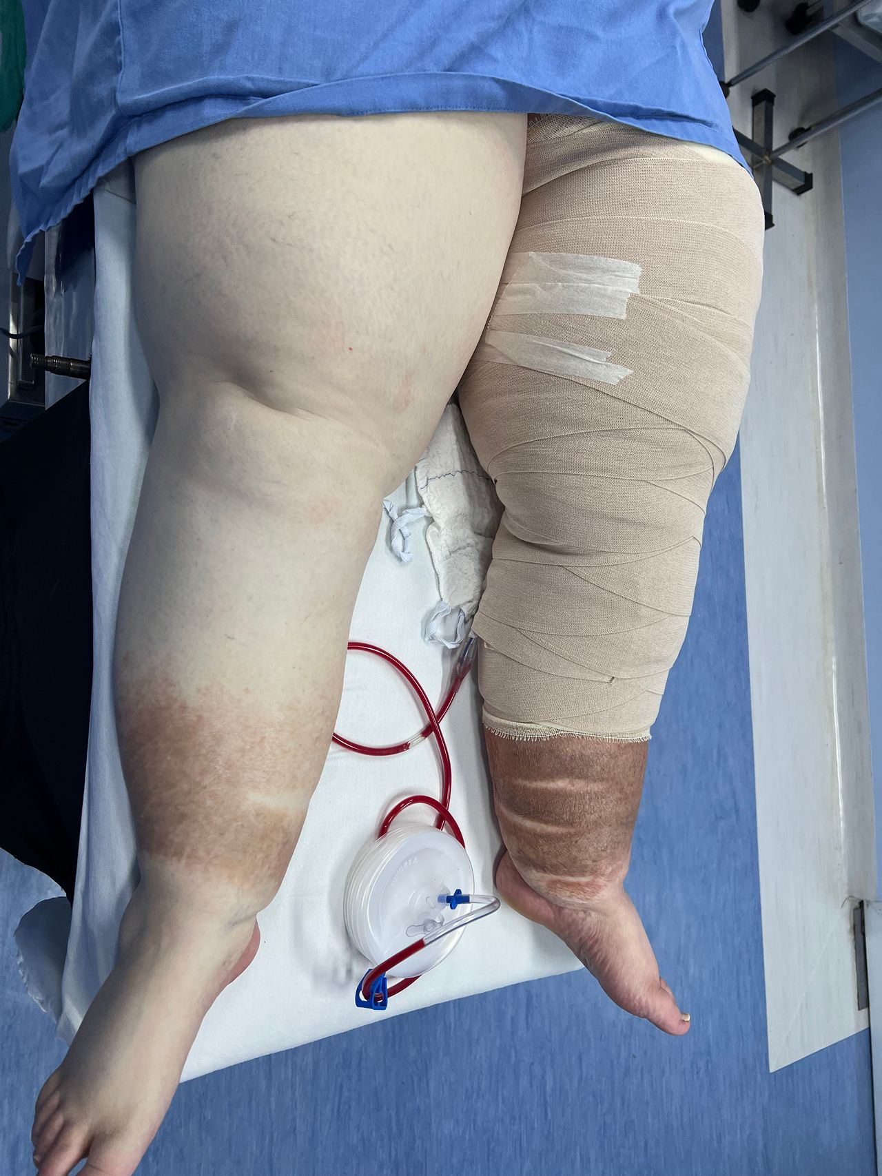 Claudia Stein Gomes-9