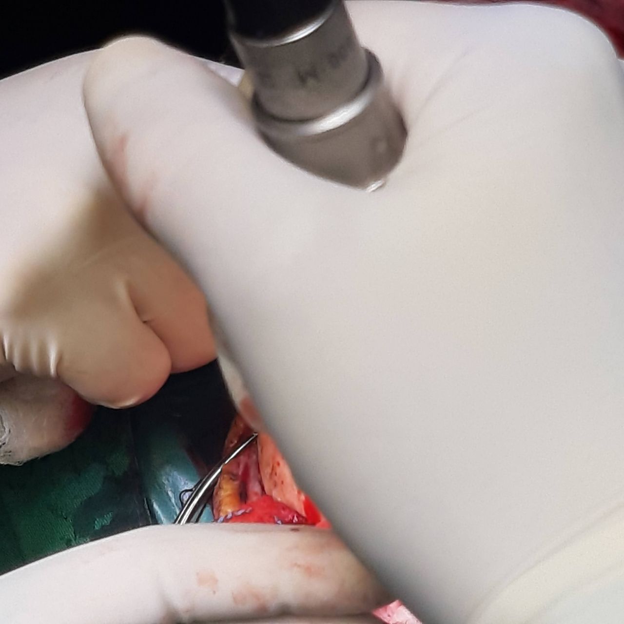 David Tafur Muñoz-1423