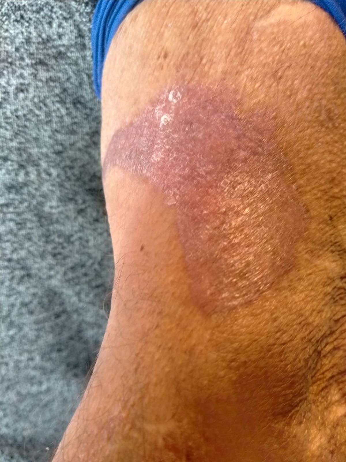 Claudia Motta Mussi-4