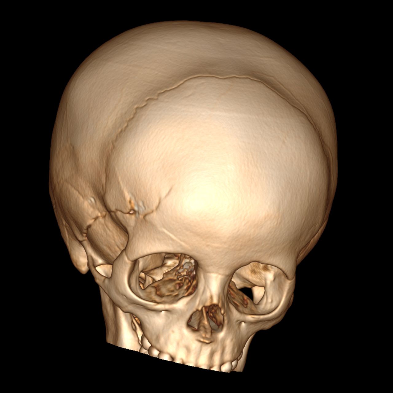 David Tafur Muñoz-1211