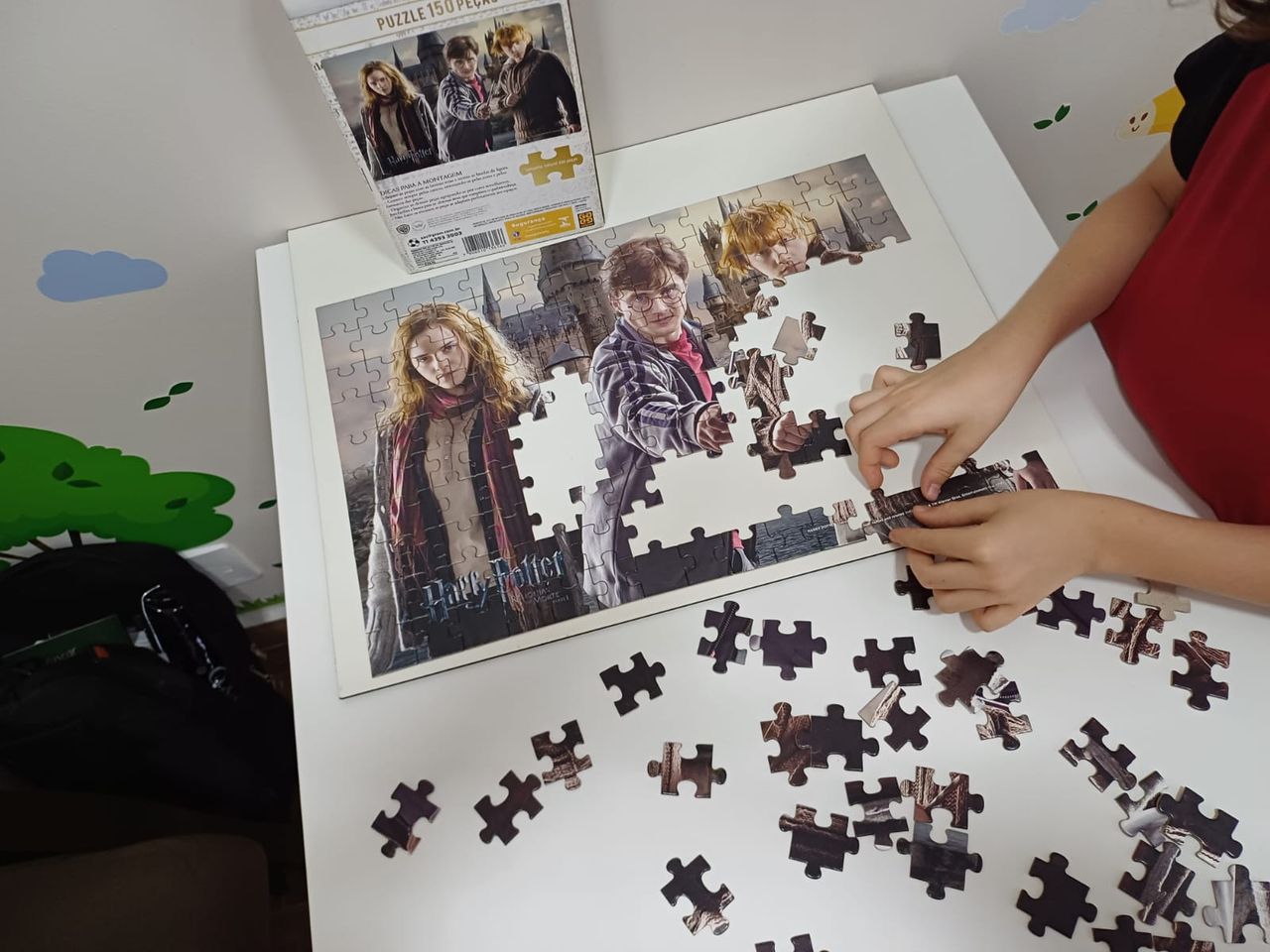 João Victor Mendes Dos Reis-2