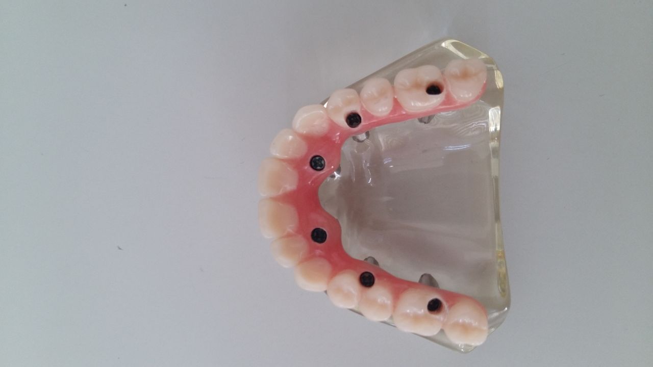 Patricia Christine Pinto-13