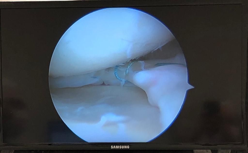 Eduardo Ramalho De Moraes-25