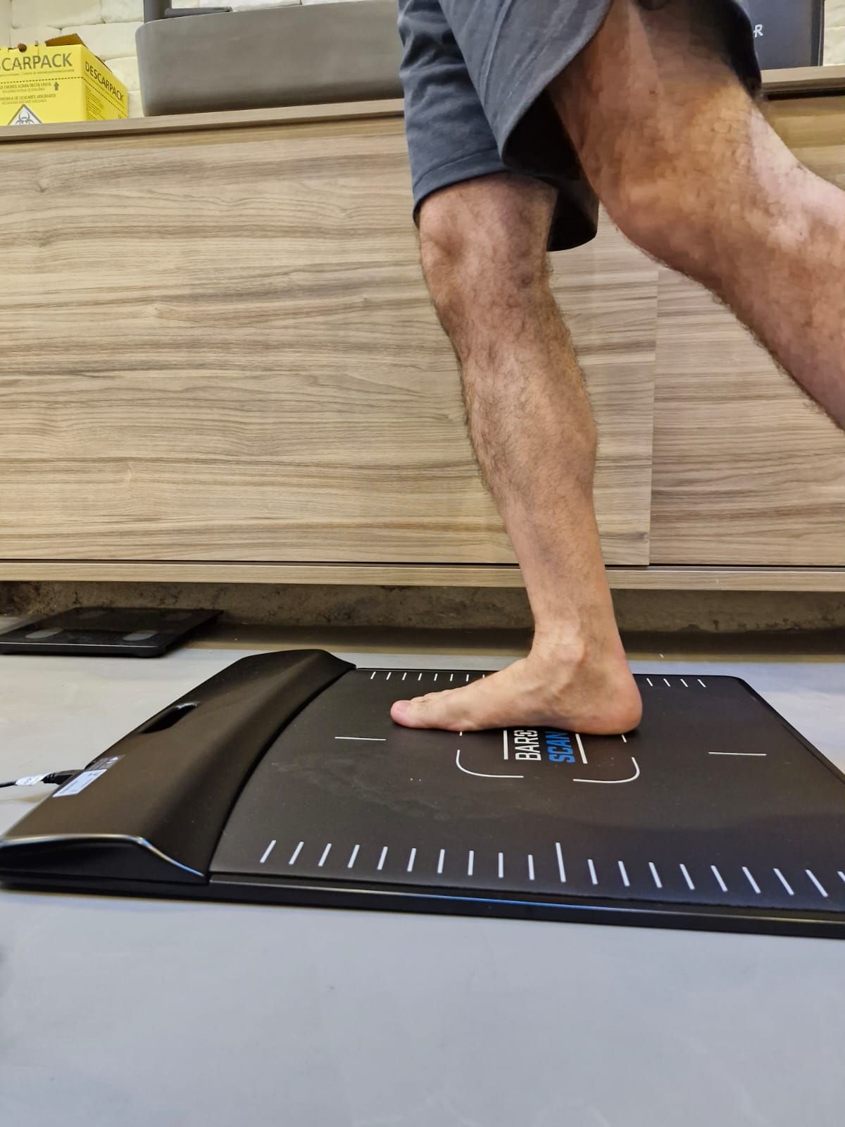 Luiz Felipe Bormann Guedes-1