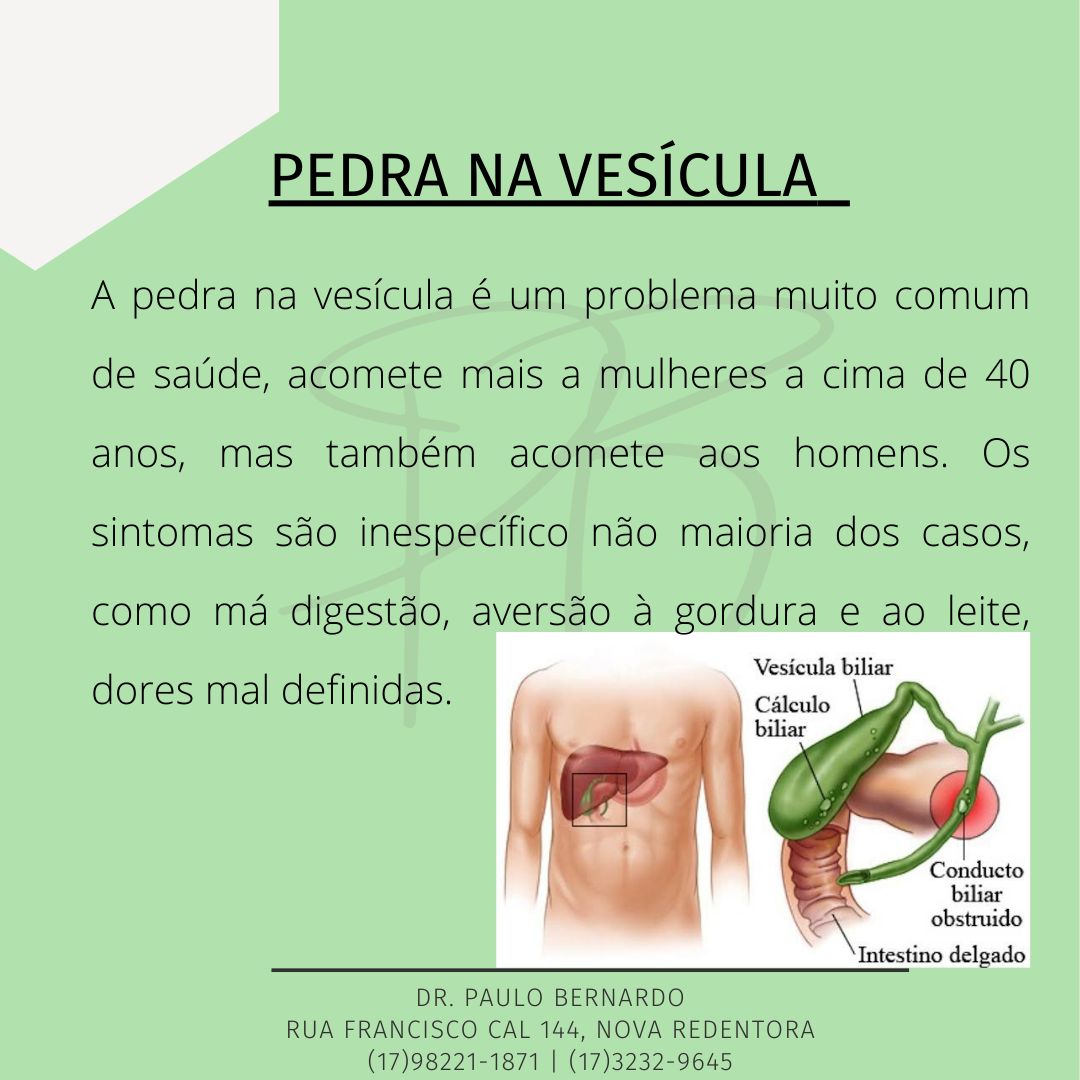 Paulo Leandro Alves Bernardo-13