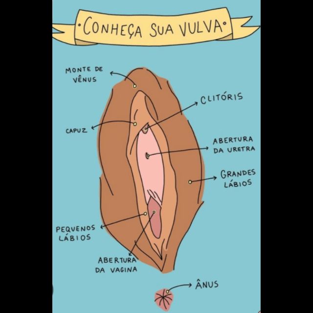 Sandra Helena O. Silva-113