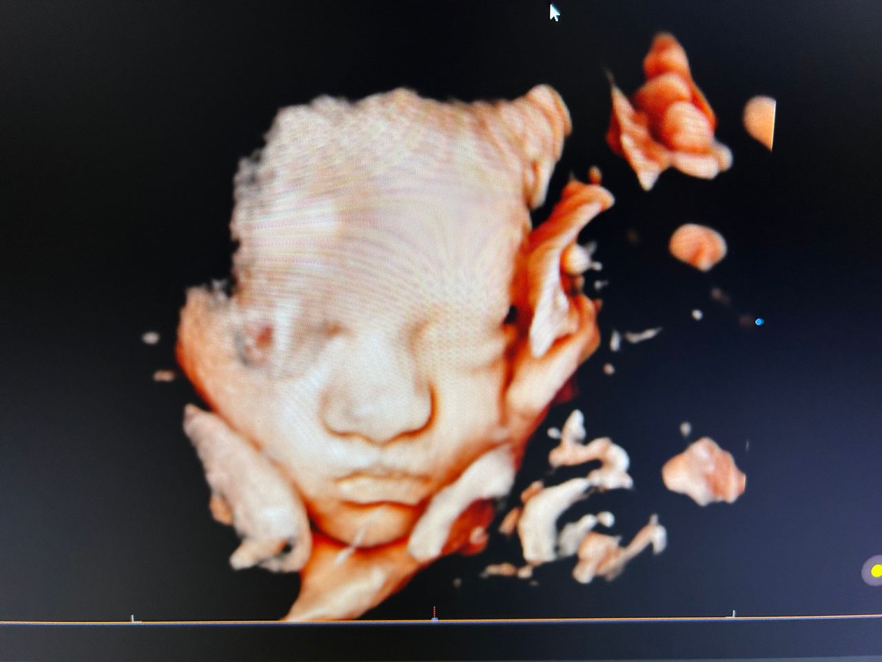 Leandro Nogueira Freitas-4