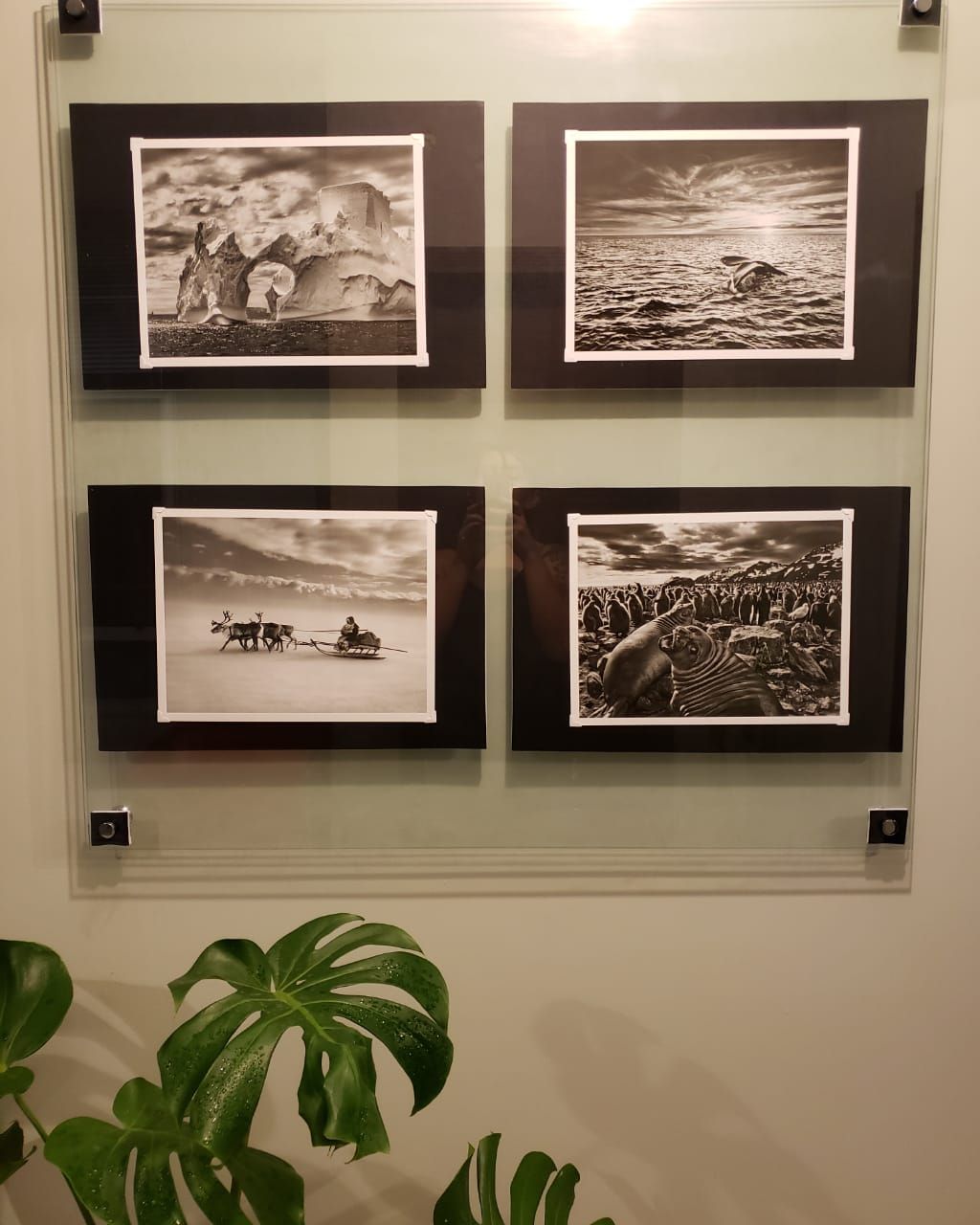 Vanessa De Andrade-2