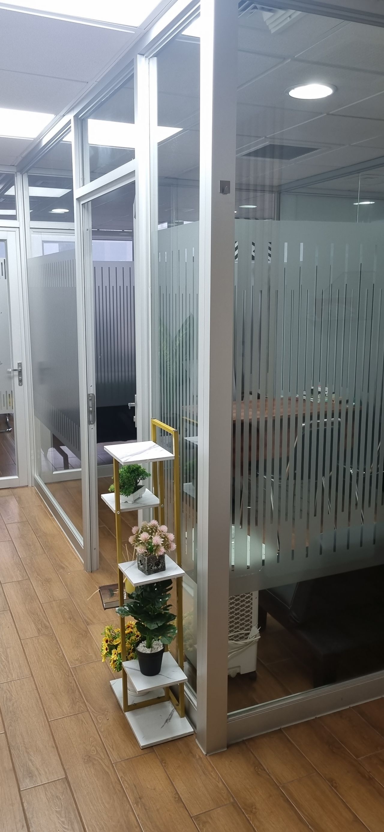 Carlos Cano Manzano-4