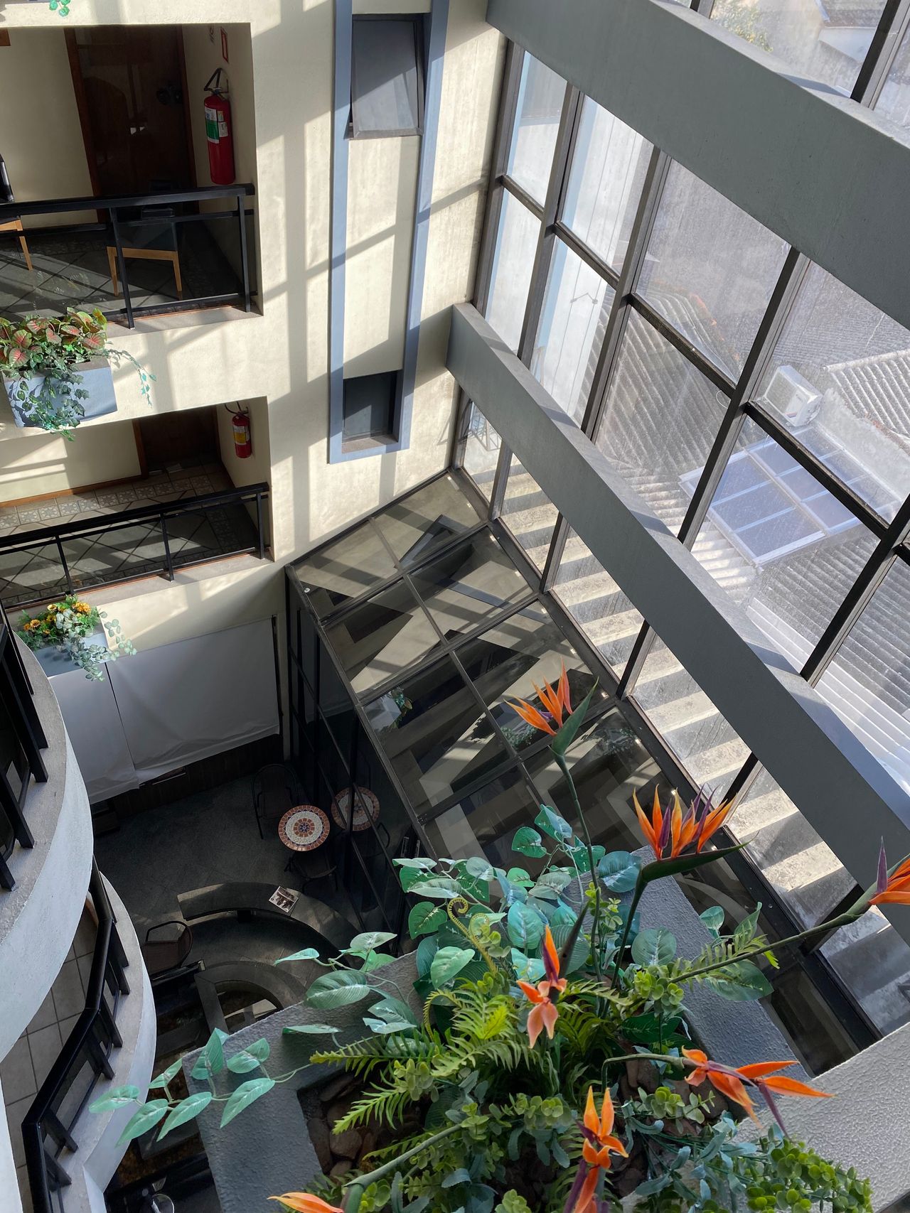 Fernanda Laranjeira Mendonça-13