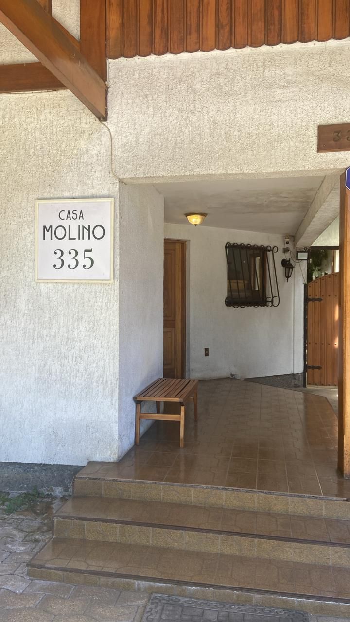 Alicia Cuende Oyarzabal-4