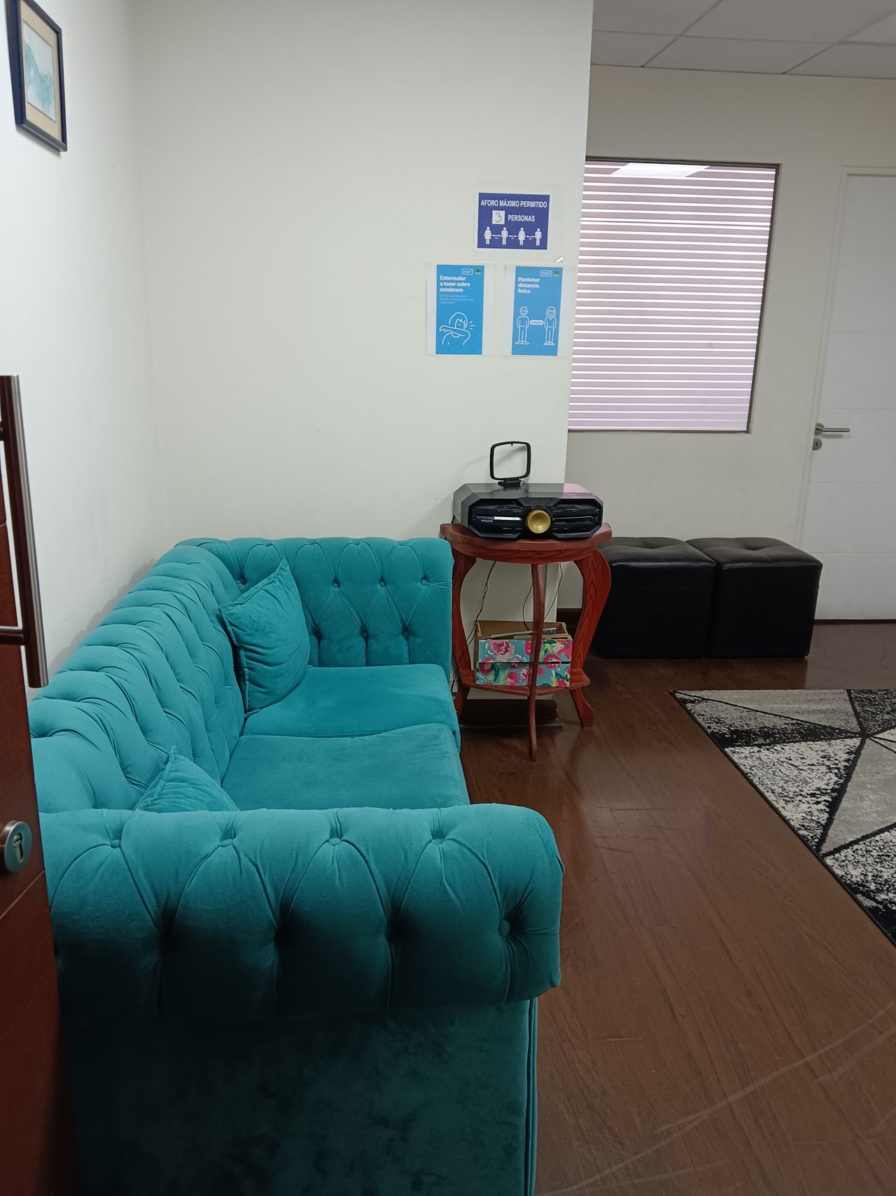 Viviana Moya Navarro-8