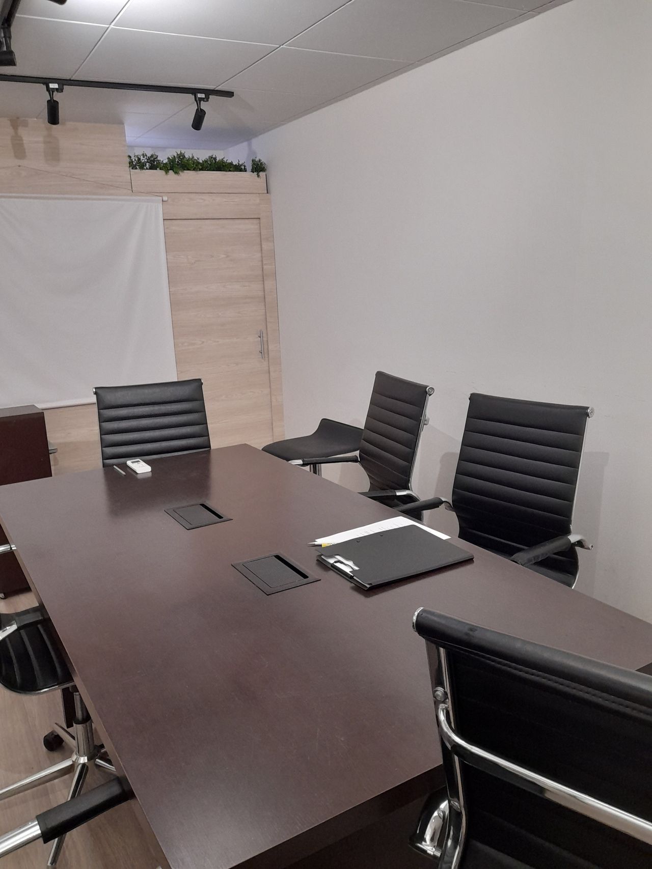 Catarina   De França Tranquilli-0