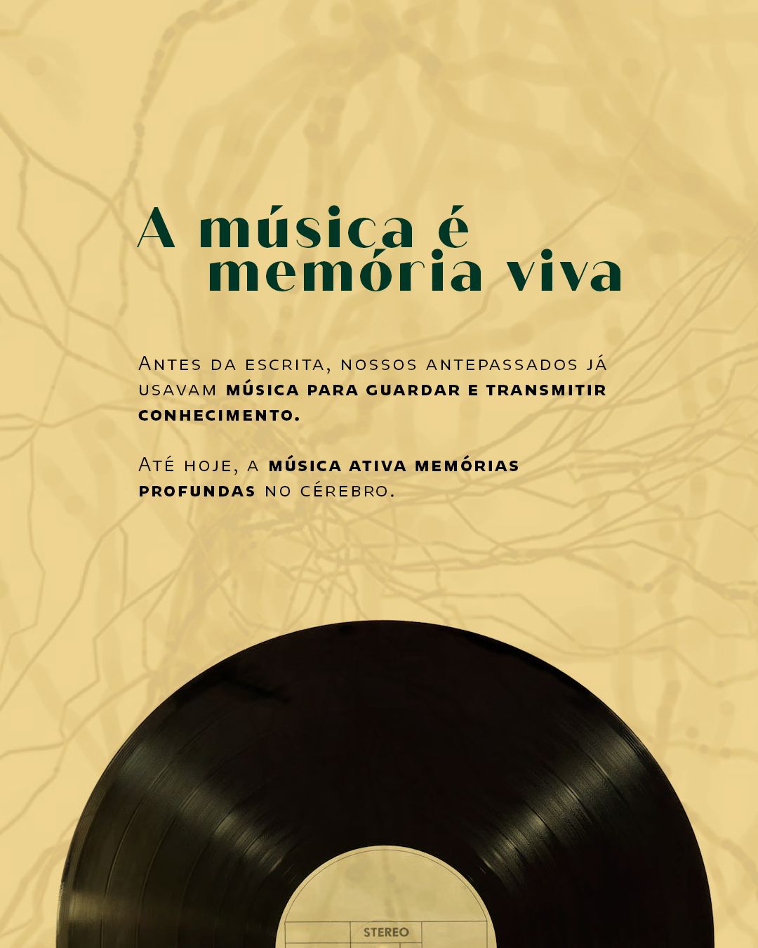 Igor Pereira Matos De Oliveira-34