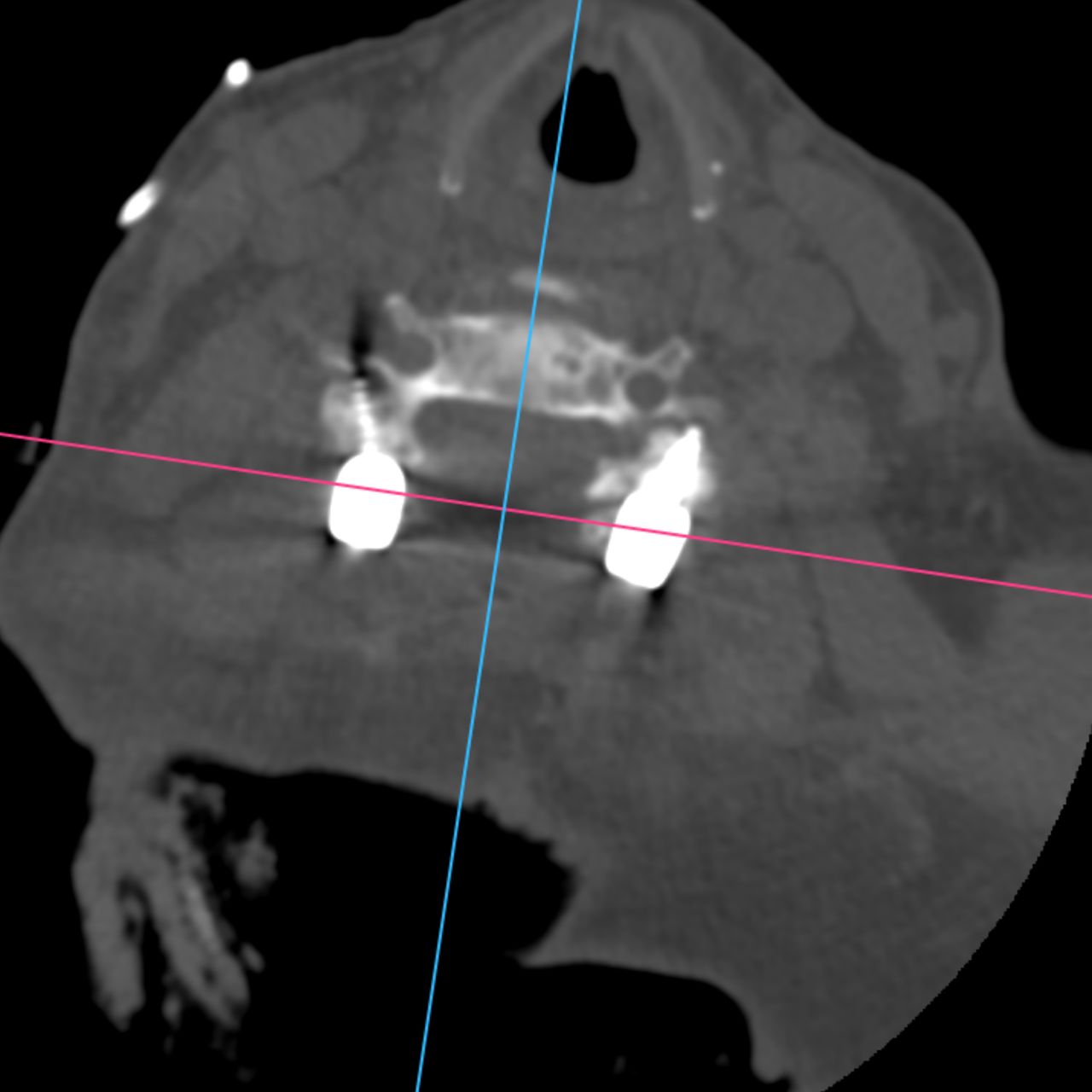 David Tafur Muñoz-2146