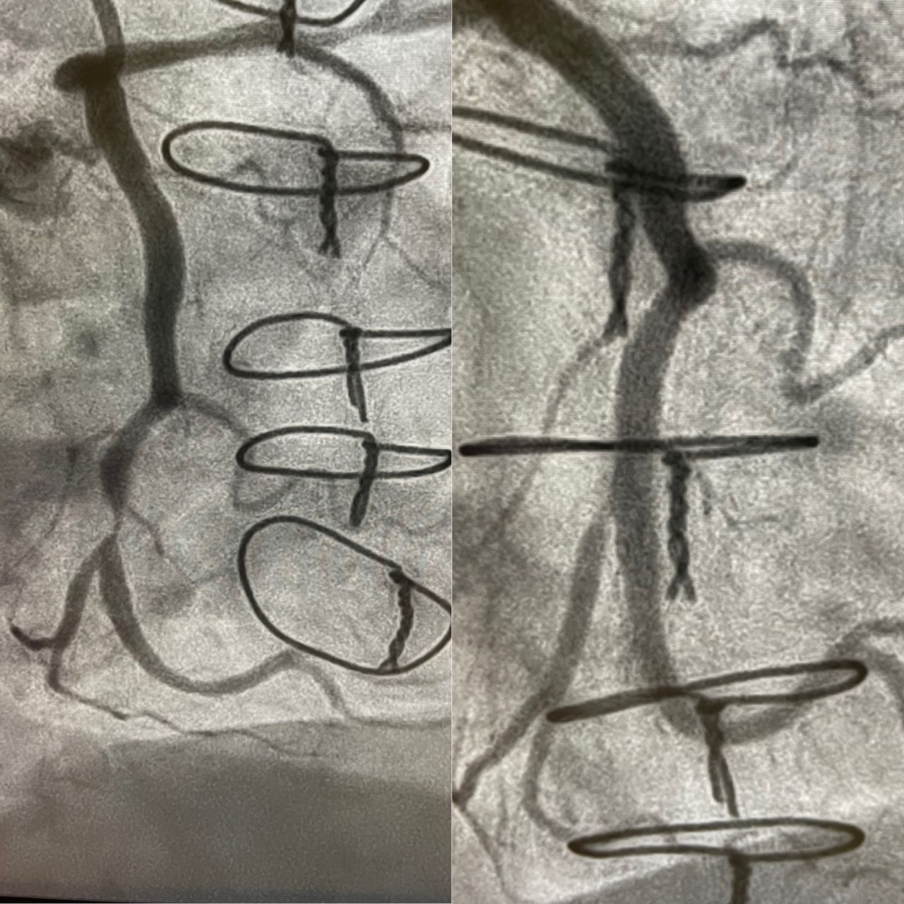 Diogo Antônio Gomes Tiago-5