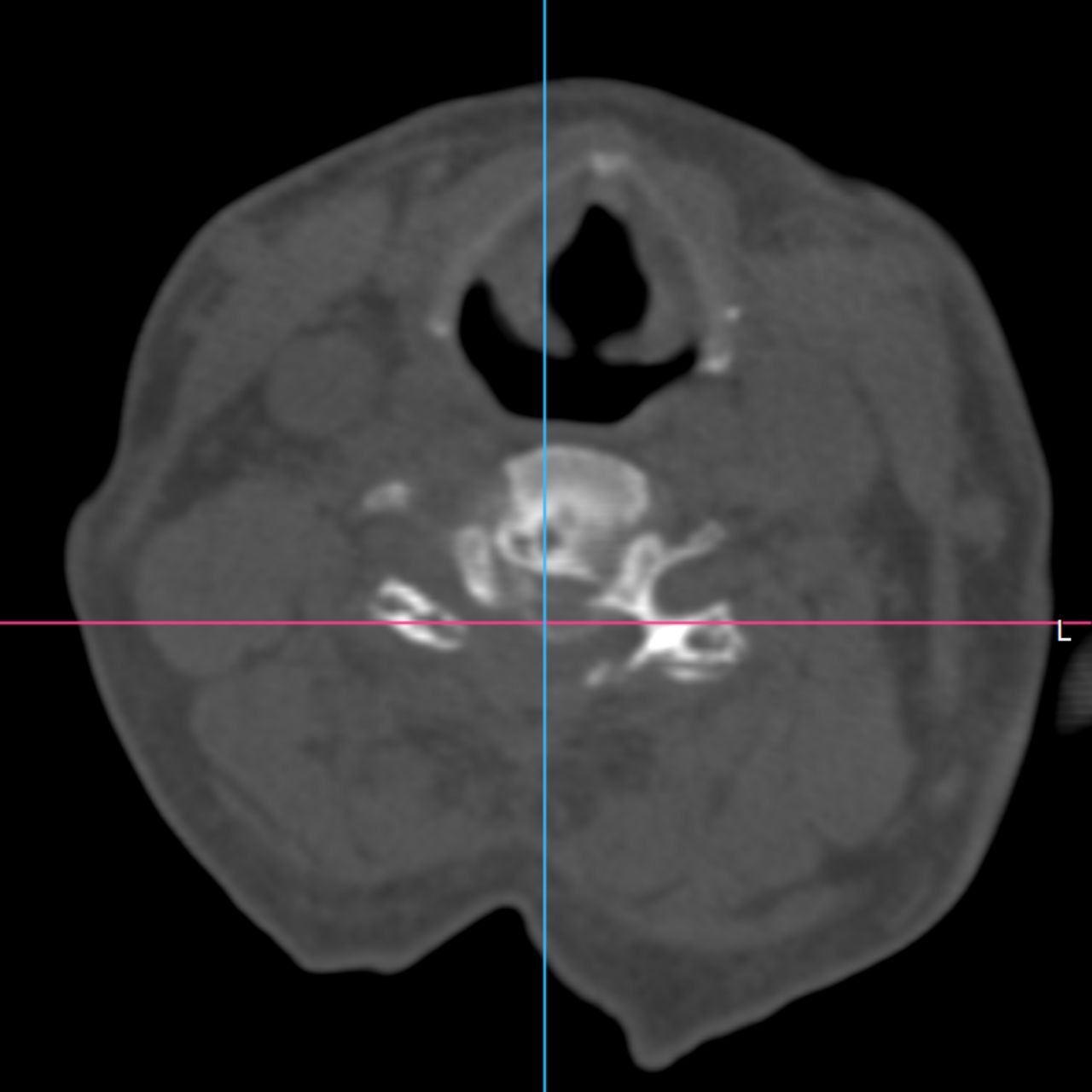 David Tafur Muñoz-2239