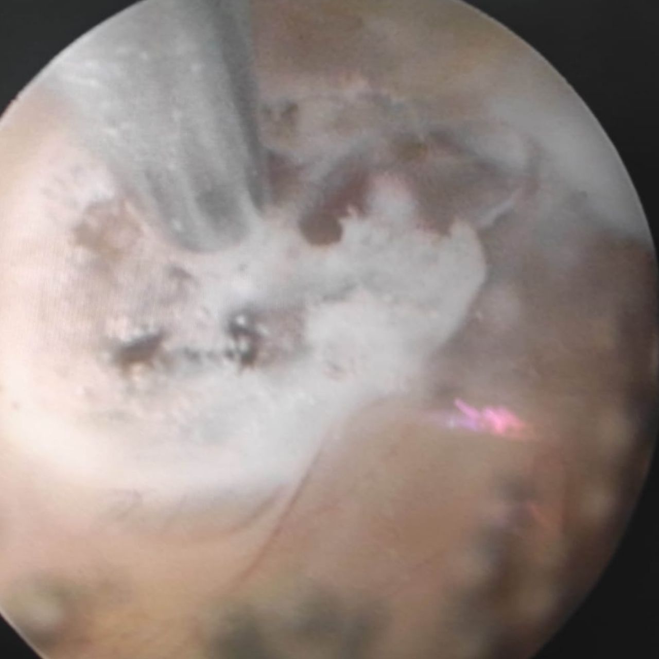 David Tafur Muñoz-1668