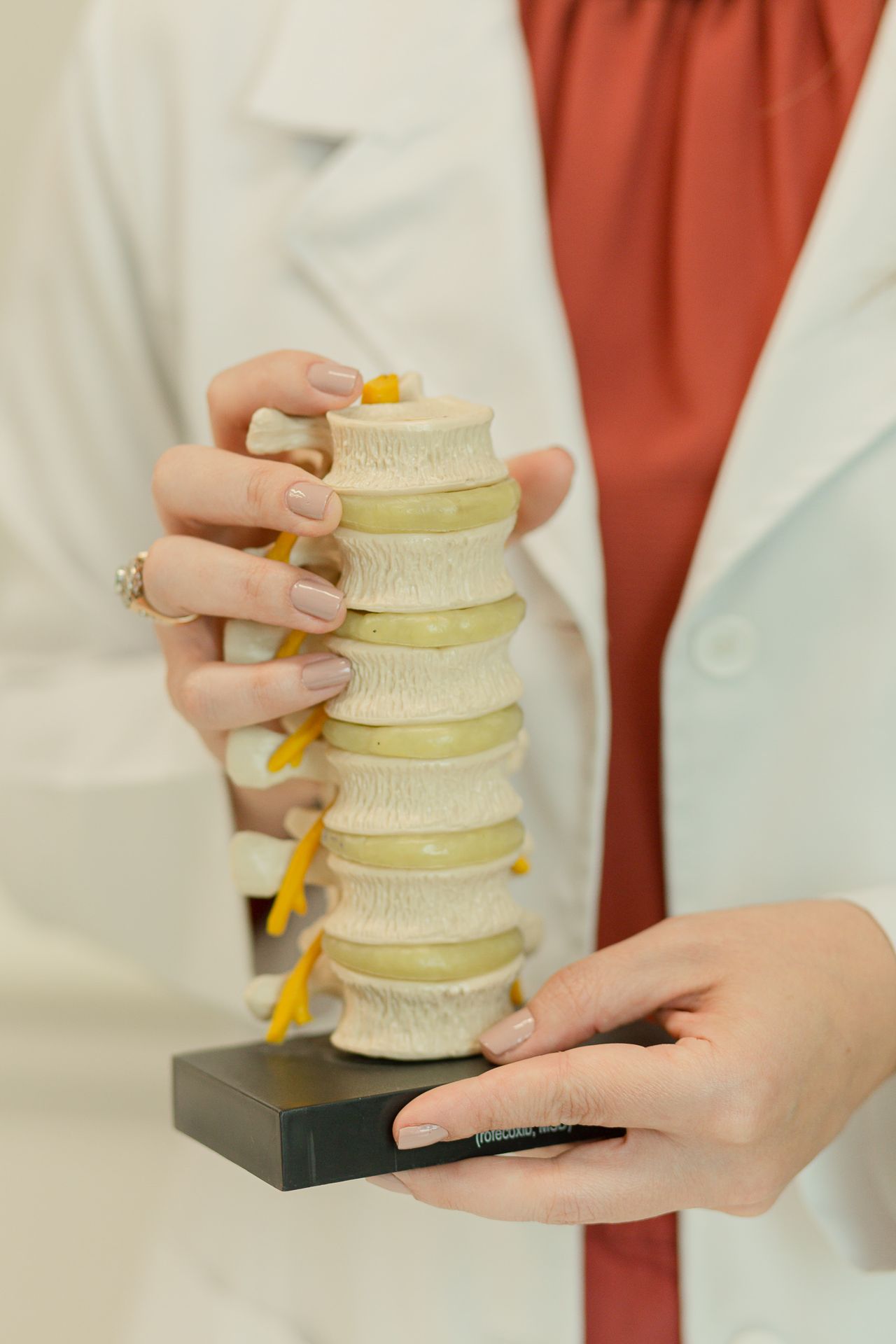 Anna Carolina Gomes Tavares-4