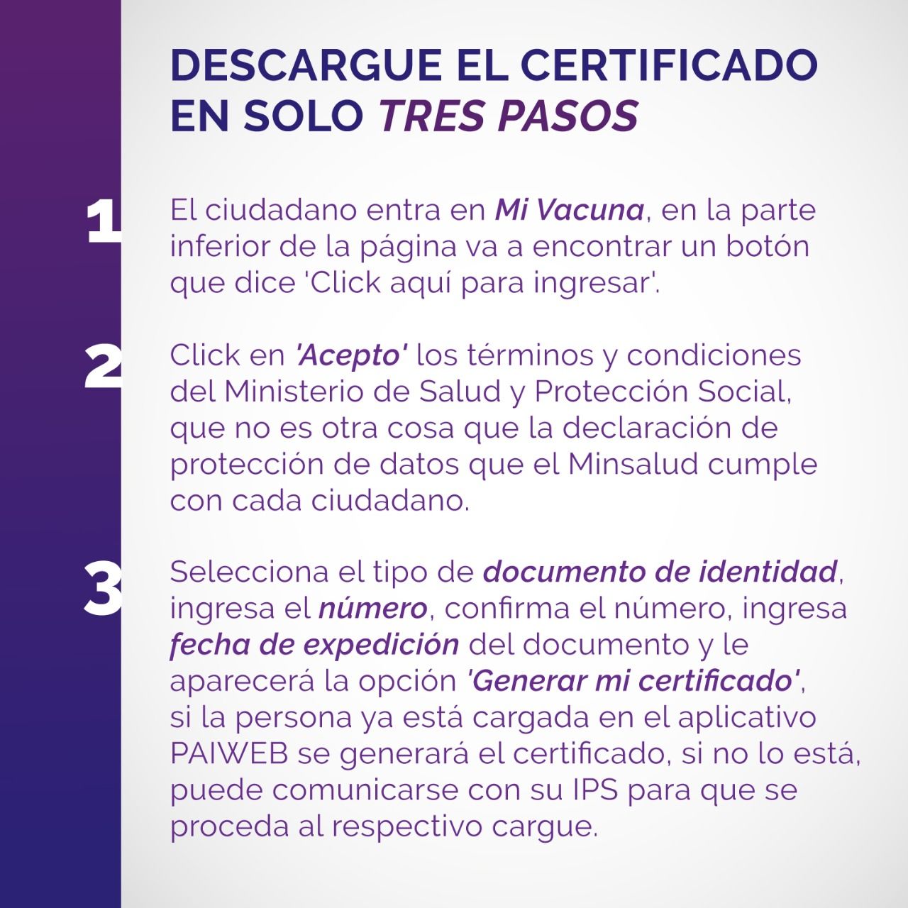 Liliana Tello Quijano-4